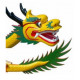 DRAGON BOAT 10 PLACES SWIFT RACING COMPLET