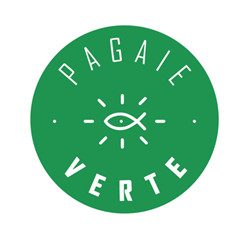 AUTOCOLLANT PAGAIE COULEUR VERTE x10 